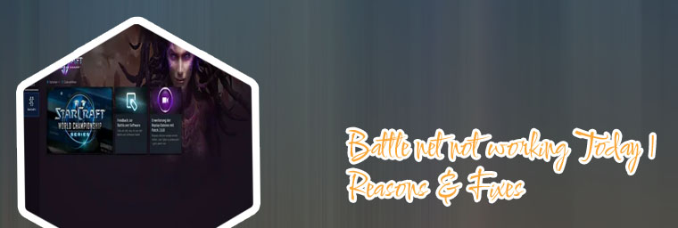 Battle net cant go online